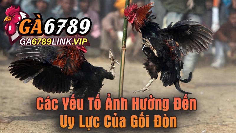 Các Yếu Tố Ảnh Hưởng Đến Uy Lực Của Gối Đòn