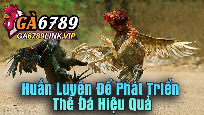 Huấn Luyện Để Phát Triển Thế Đá Hiệu Quả