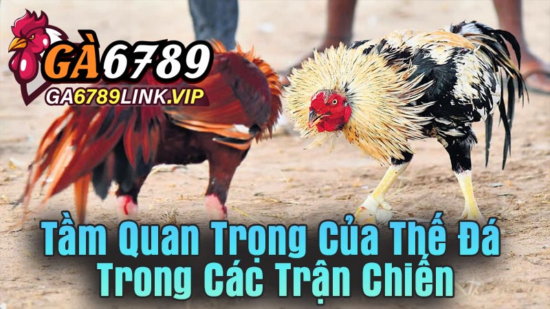Tầm Quan Trọng Của Thế Đá Trong Các Trận Chiến